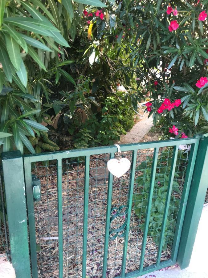 Joli Studio Avec Jardinet Avignon Kültér fotó