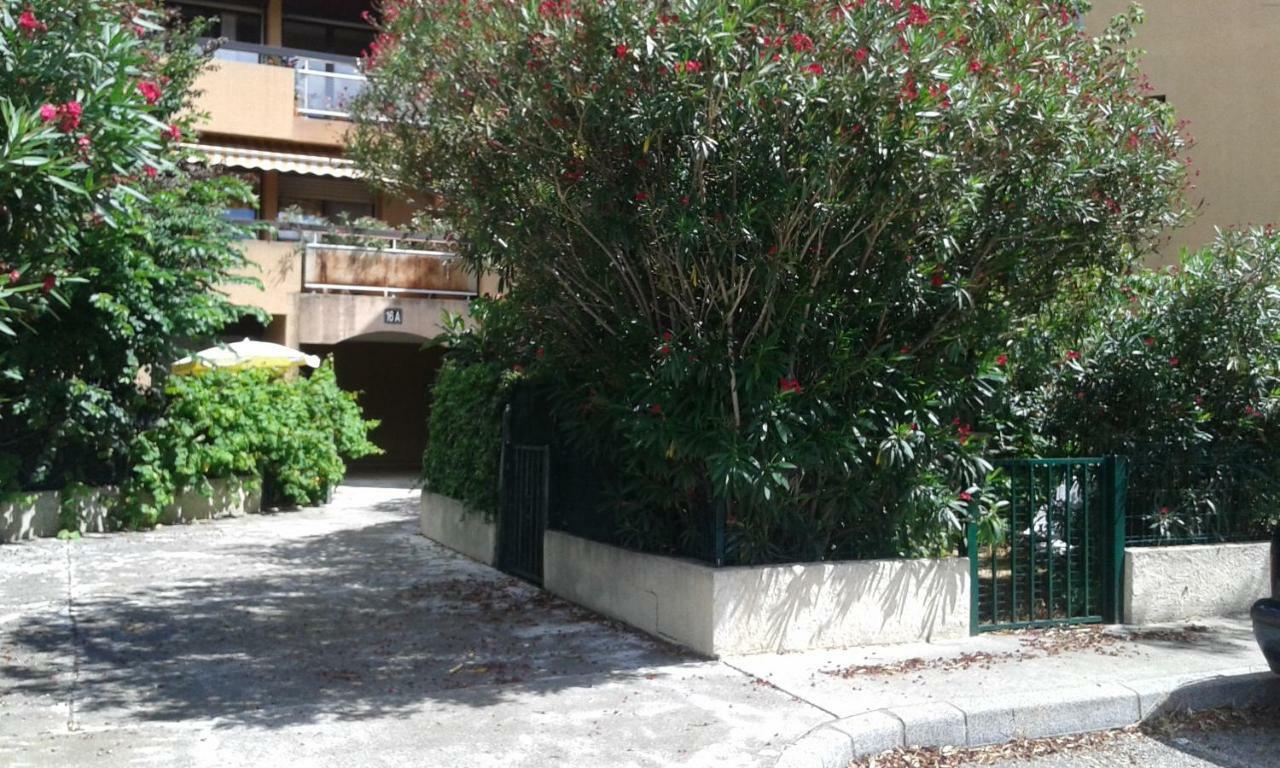Joli Studio Avec Jardinet Avignon Kültér fotó